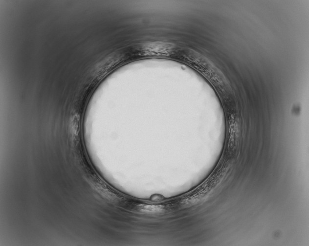X0000116840649201001151248