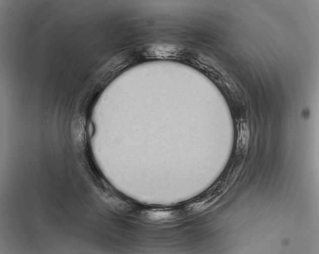 X0000116840651201001151248