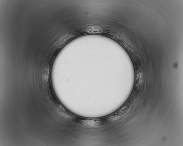 X0000116840652201001151248