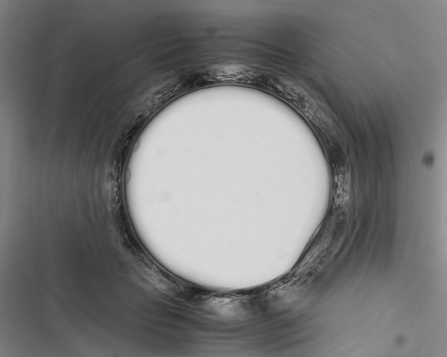 X0000116840653201001151248