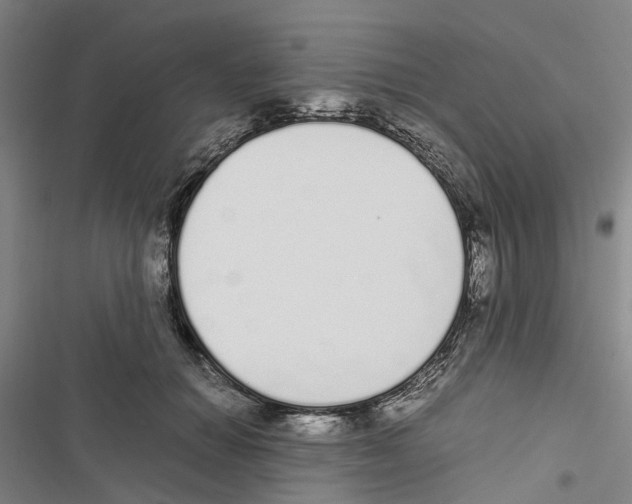 X0000116840654201001151248