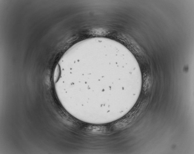 X0000116840655201001151248