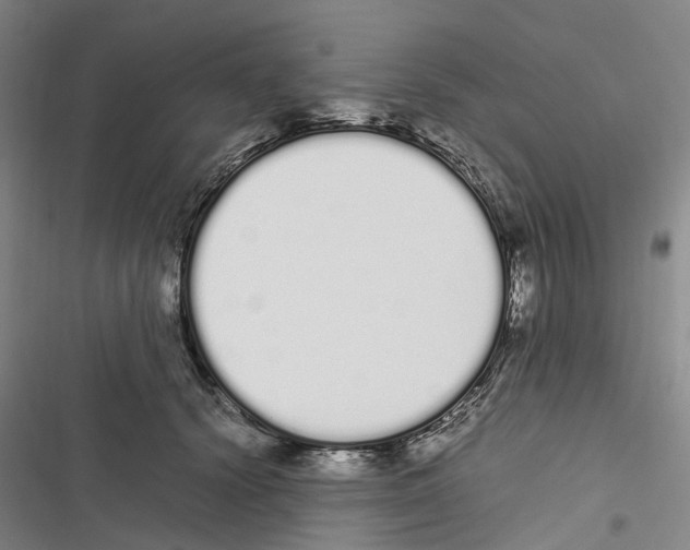 X0000116840656201001151248