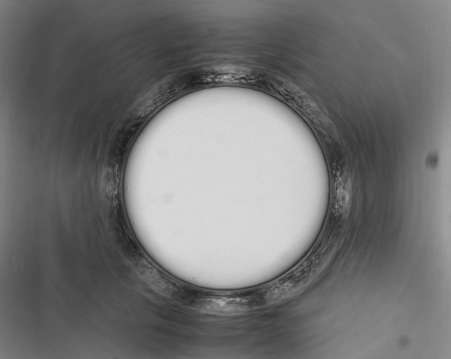 X0000116840657201001151248