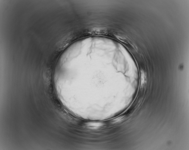 X0000116840659201001151248