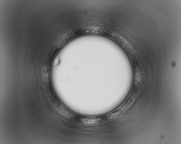 X0000116840661201001151248