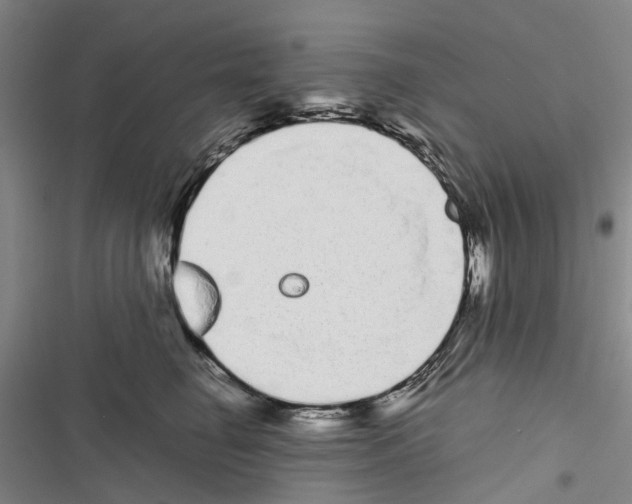 X0000116840662201001151248