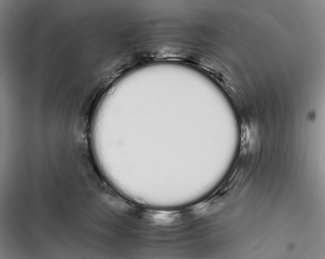 X0000116840663201001151248