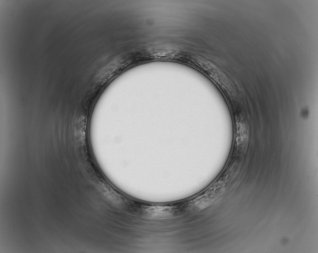 X0000116840664201001151248