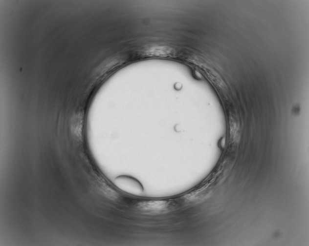 X0000116840665201001151248