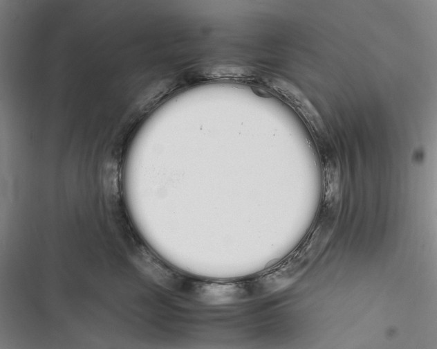 X0000116840669201001151248