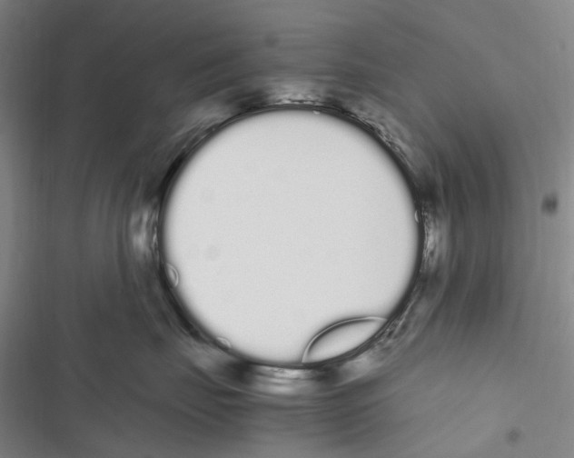X0000116840671201001151248