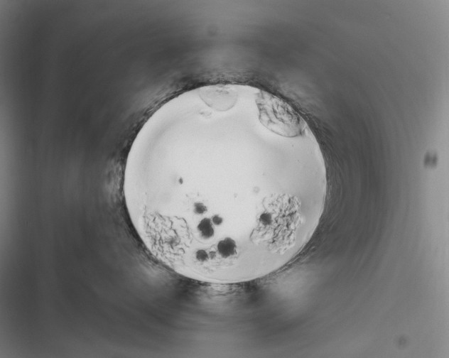 X0000116840672201001151248