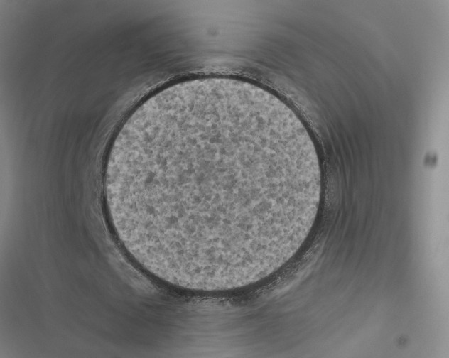 X0000116840673201001151248