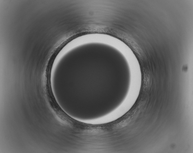 X0000116840674201001151248