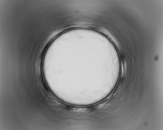 X0000116840675201001151248