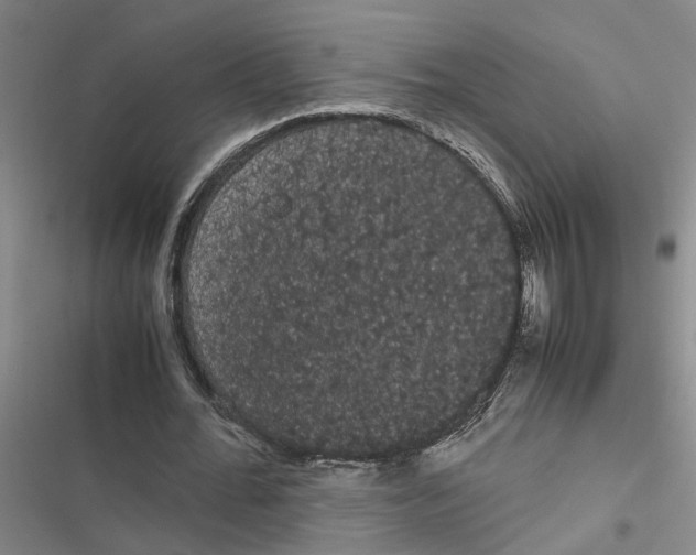 X0000116840676201001151248