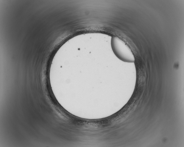 X0000116840677201001151248