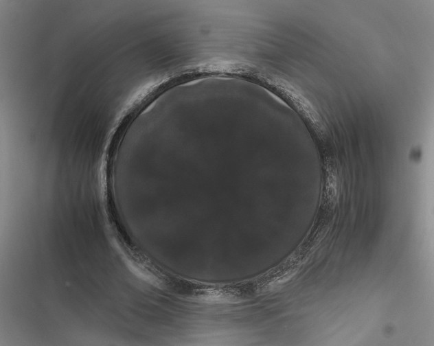 X0000116840678201001151248