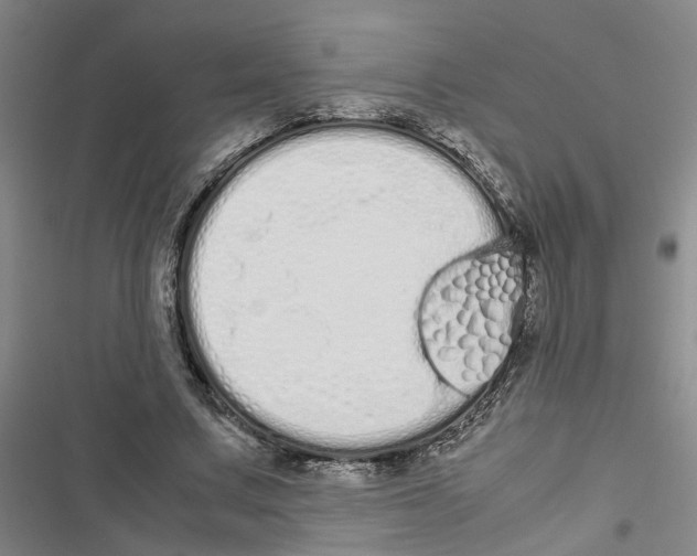 X0000116840683201001151247