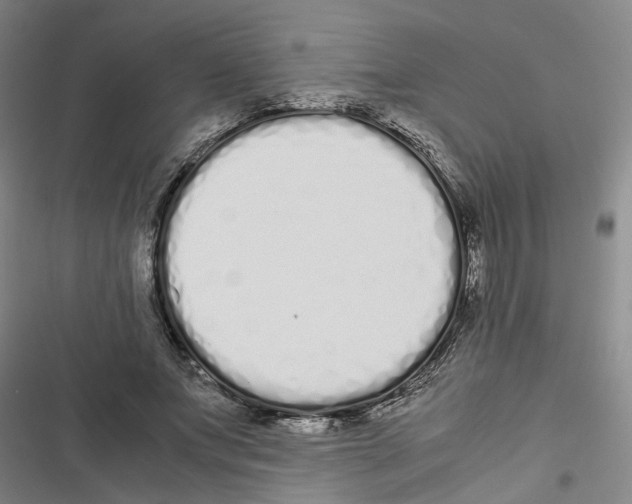 X0000116840687201001151247