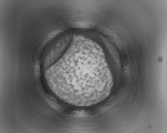 X0000116840688201001151247