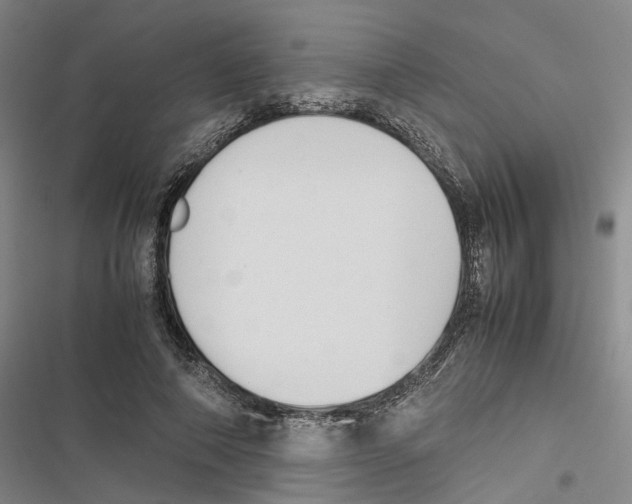 X0000116840690201001151247