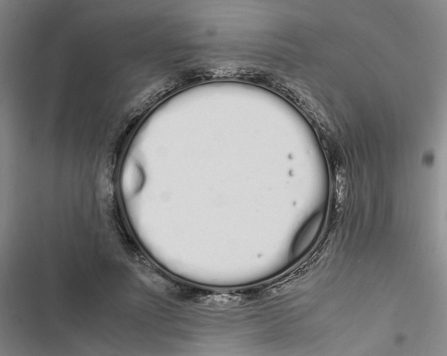 X0000116840691201001151247