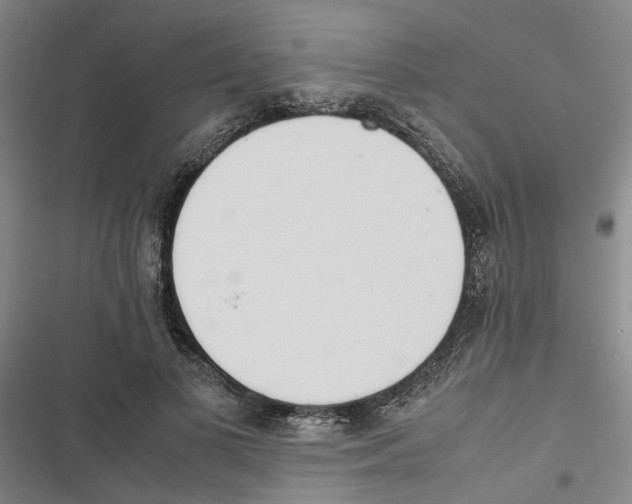 X0000116840693201001151247