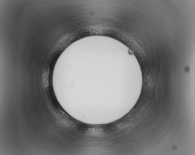 X0000116840694201001151247