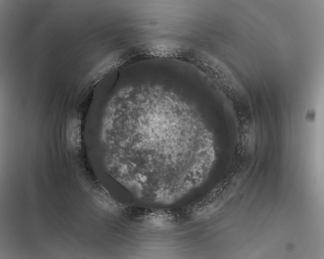 X0000116840696201001151247