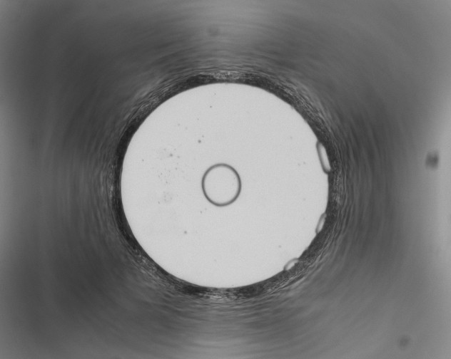 X0000116840697201001151247