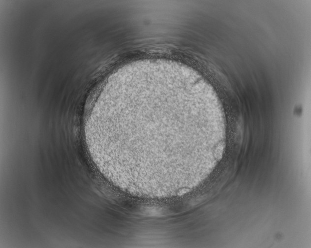 X0000116840704201001151247