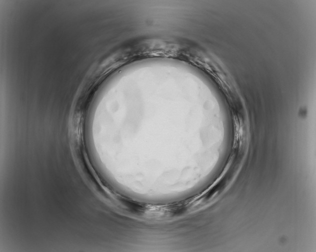 X0000116840705201001151247