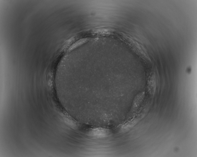 X0000116840708201001151247