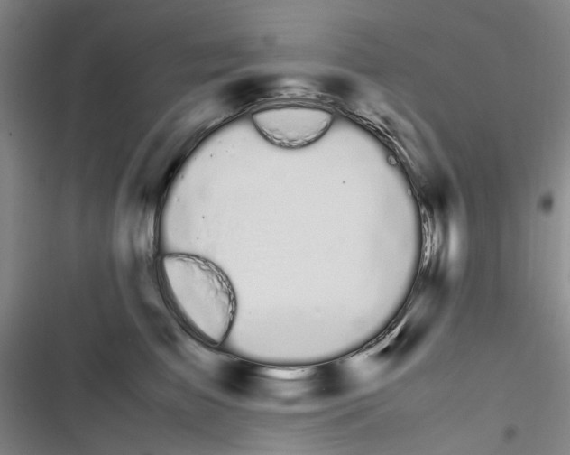 X0000116840709201001151247