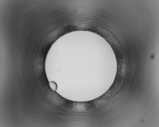 X0000116840710201001151247