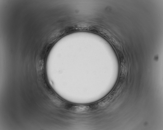 X0000116840711201001151247