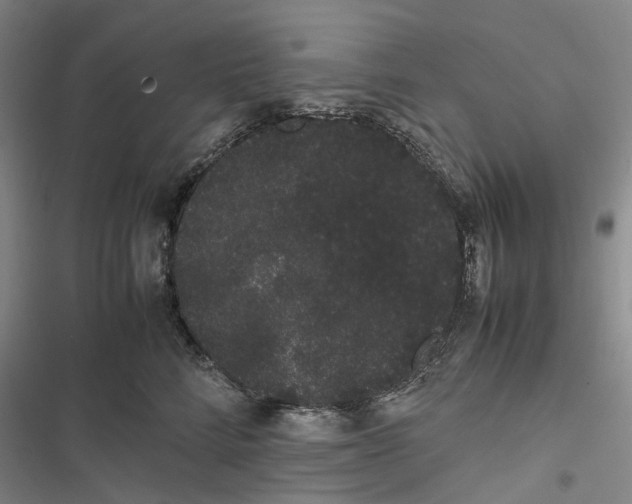 X0000116840712201001151247