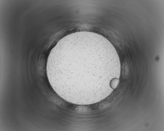 X0000116840714201001151247