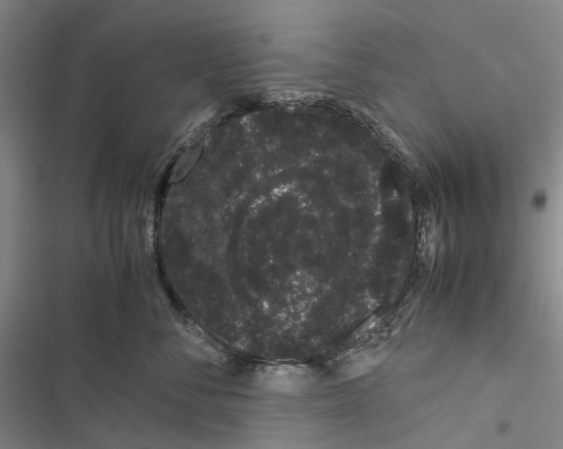 X0000116840716201001151247