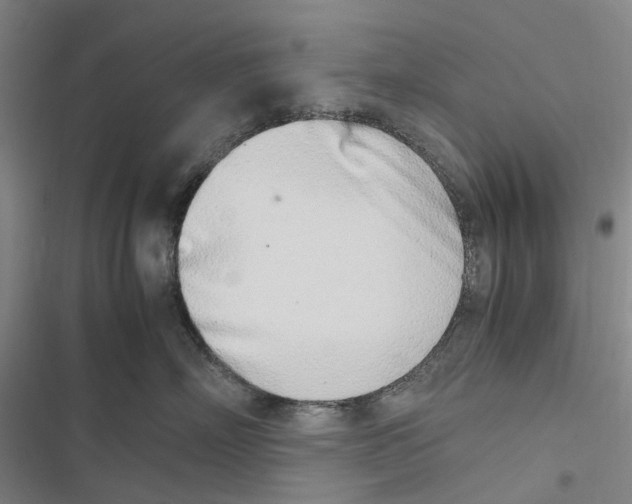 X0000116840718201001151247