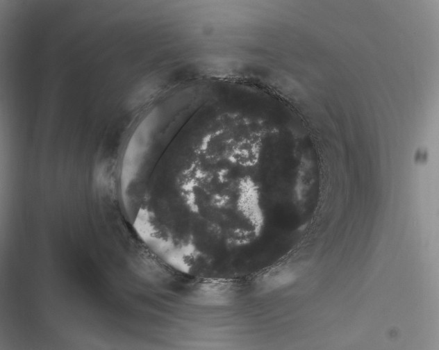 X0000116840720201001151247