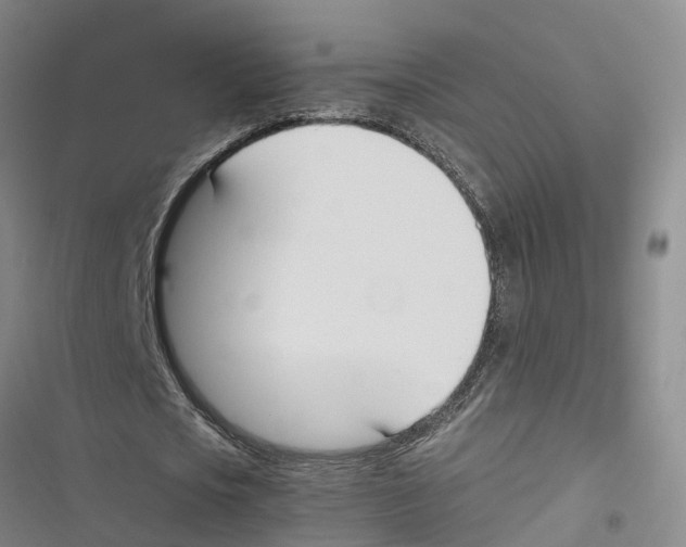 X0000116840721201001151246