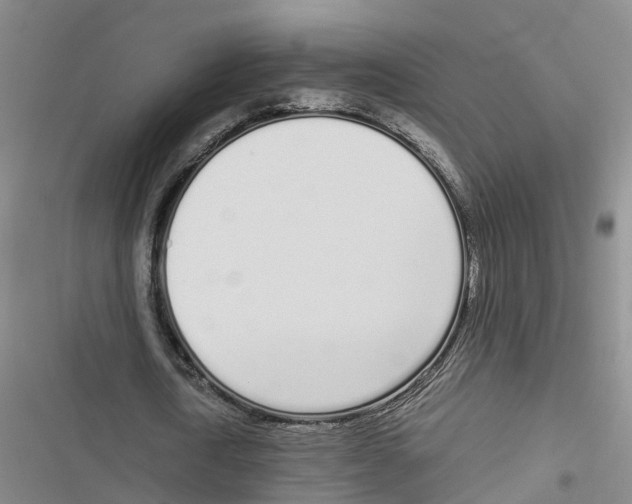 X0000116840722201001151246