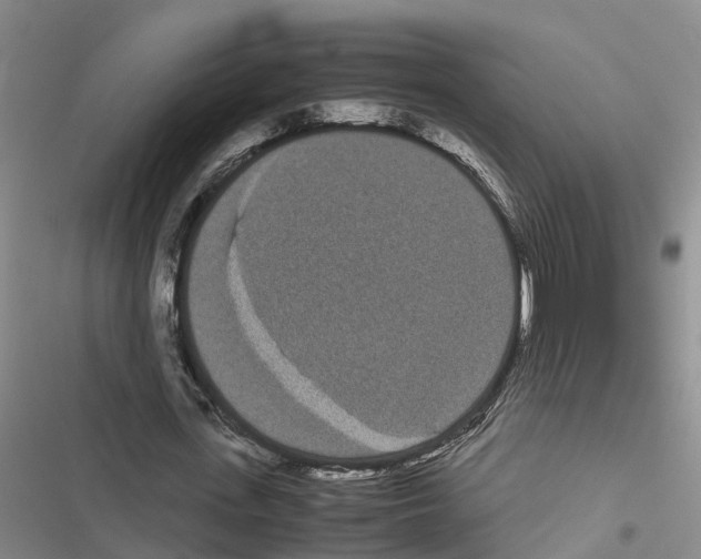 X0000116840723201001151246