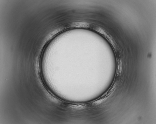 X0000116840725201001151246