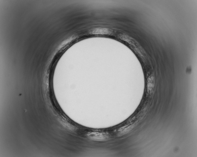 X0000116840727201001151246