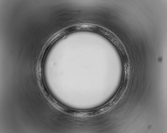 X0000116840729201001151246