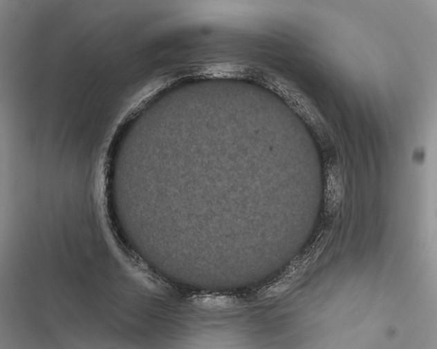 X0000116840730201001151246